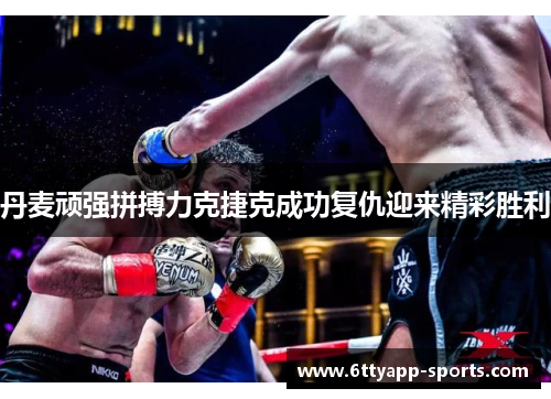 丹麦顽强拼搏力克捷克成功复仇迎来精彩胜利