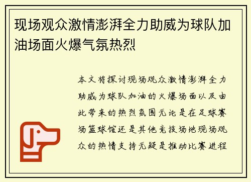 现场观众激情澎湃全力助威为球队加油场面火爆气氛热烈