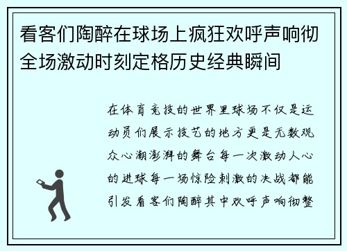 看客们陶醉在球场上疯狂欢呼声响彻全场激动时刻定格历史经典瞬间