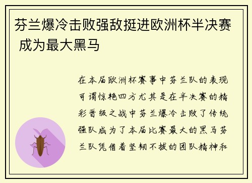 芬兰爆冷击败强敌挺进欧洲杯半决赛 成为最大黑马